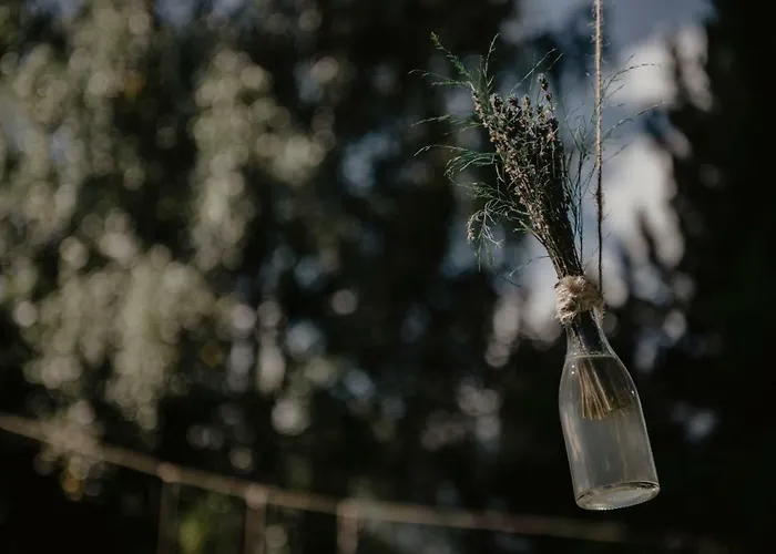 Hotel Meuble Sci Sport 3*